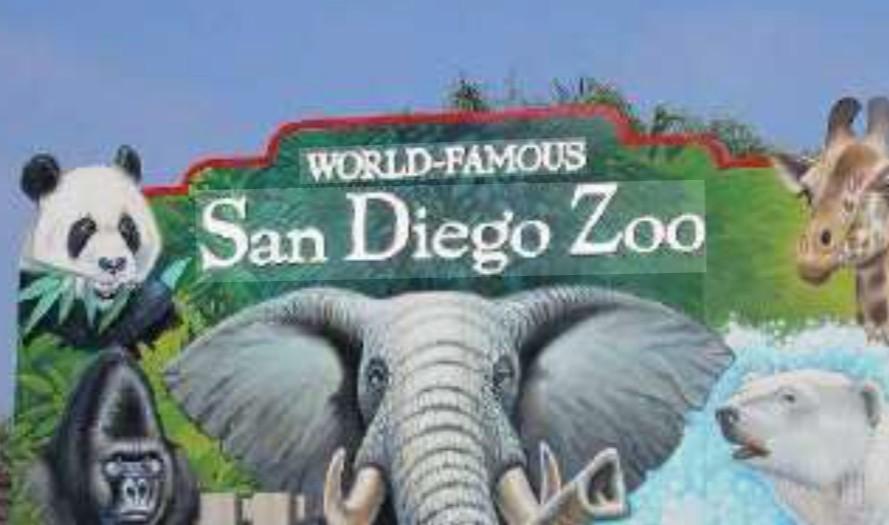 San Diego Zoo Tickets