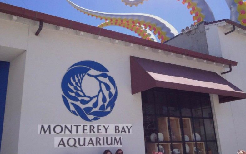 Monterey Bay Aquarium Tickets